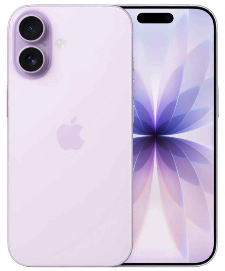 lavander